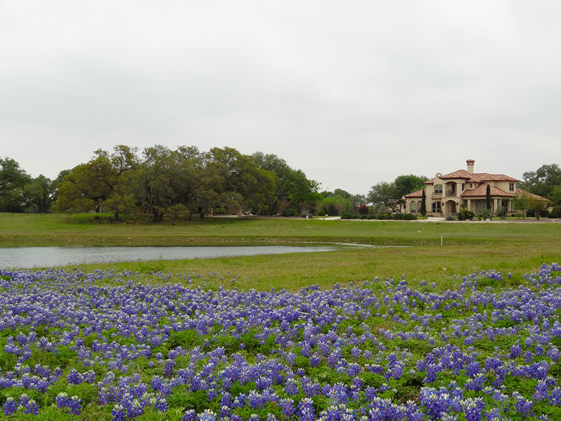 hill country home